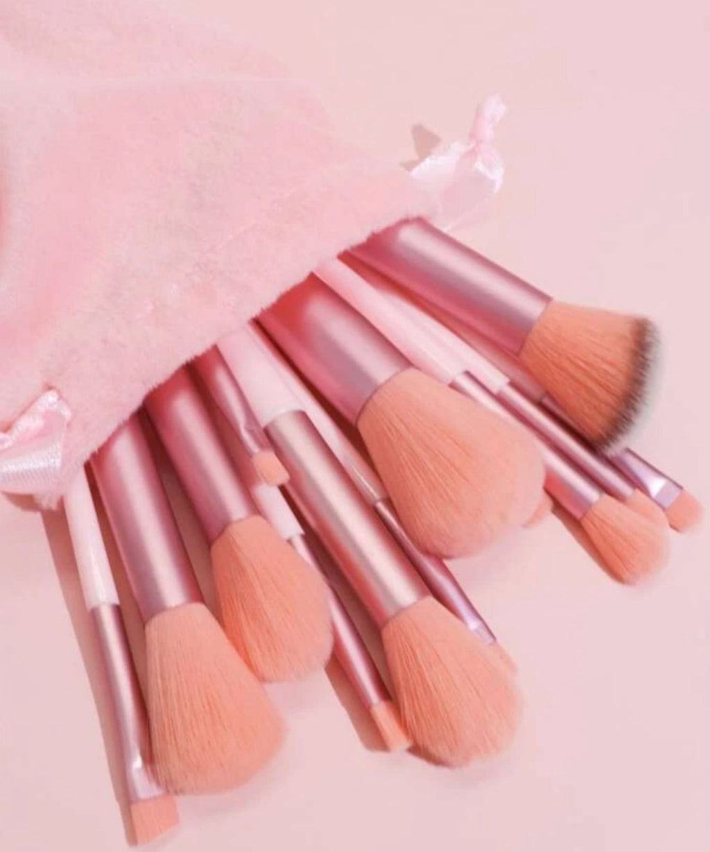 13-Piece Pink Makeup Brushes Set with Easy-to-Use